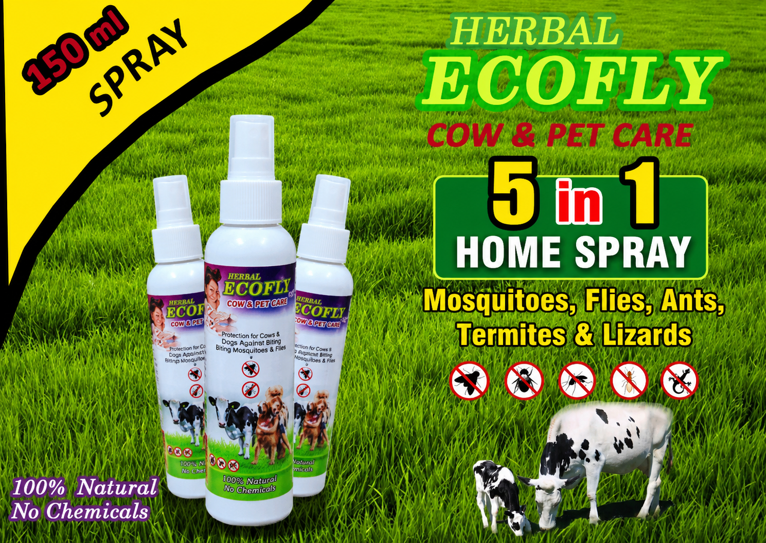 Home Spray